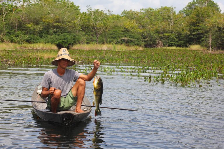 Governo libera R$ 553,2 milhões para pescadores artesanais da região Norte