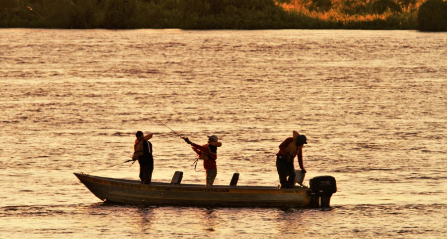 Modalidade ‘pesque e solte’ está liberada na calha do rio Paraguai a partir de sábado